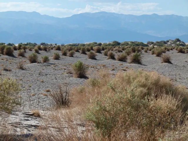 Wüsten-Zeit und Entscheidungen Wüste: Death Valley in Amerika