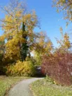 Park St Virgil (Salzburg)