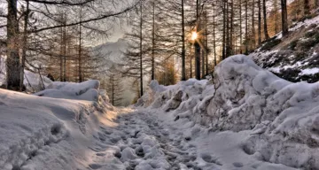 Gedankenstrich 01_25