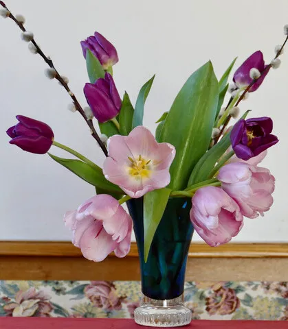 Tulpen