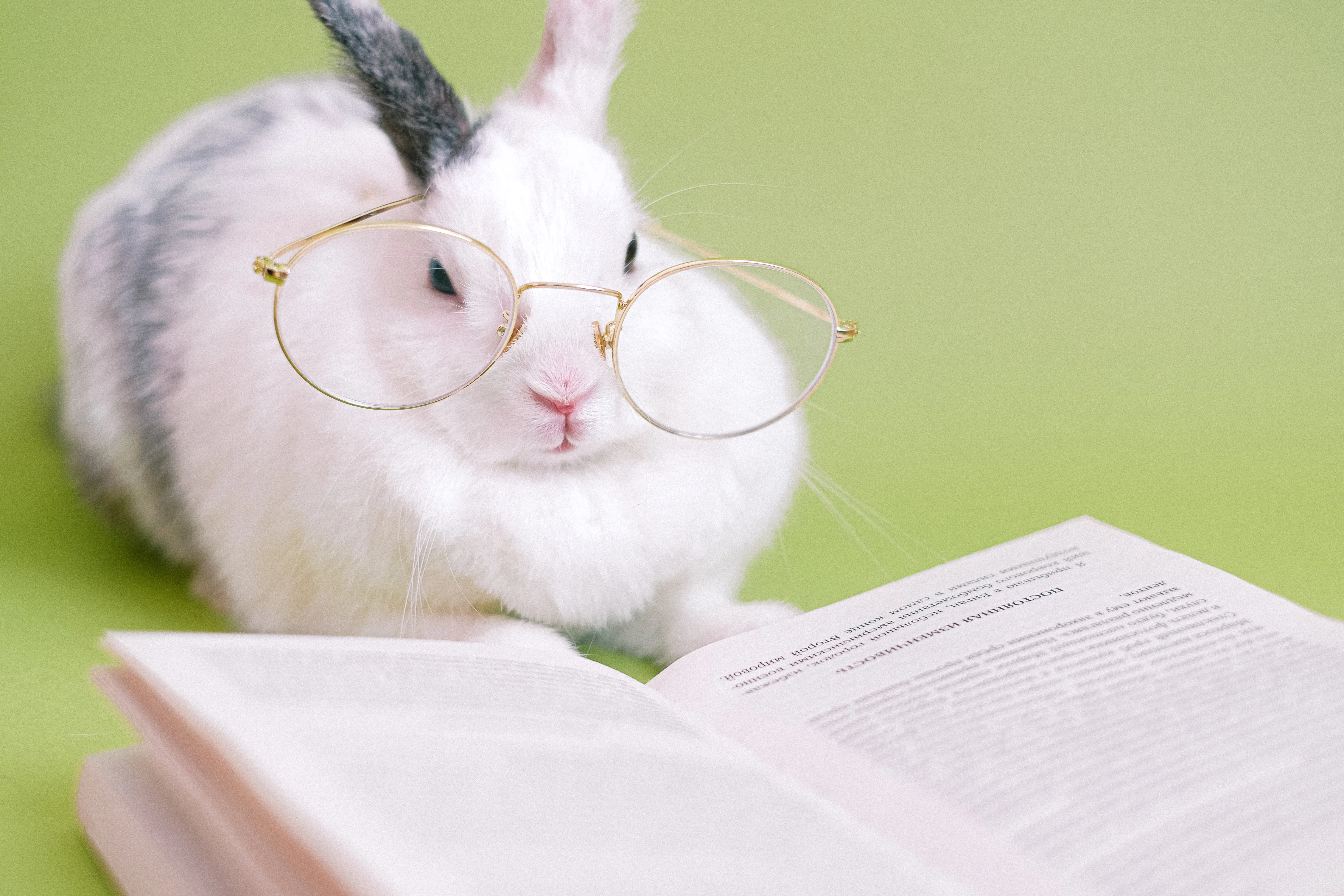 "Perspektivenwechsel" – Gottes Weisheit ist anders!