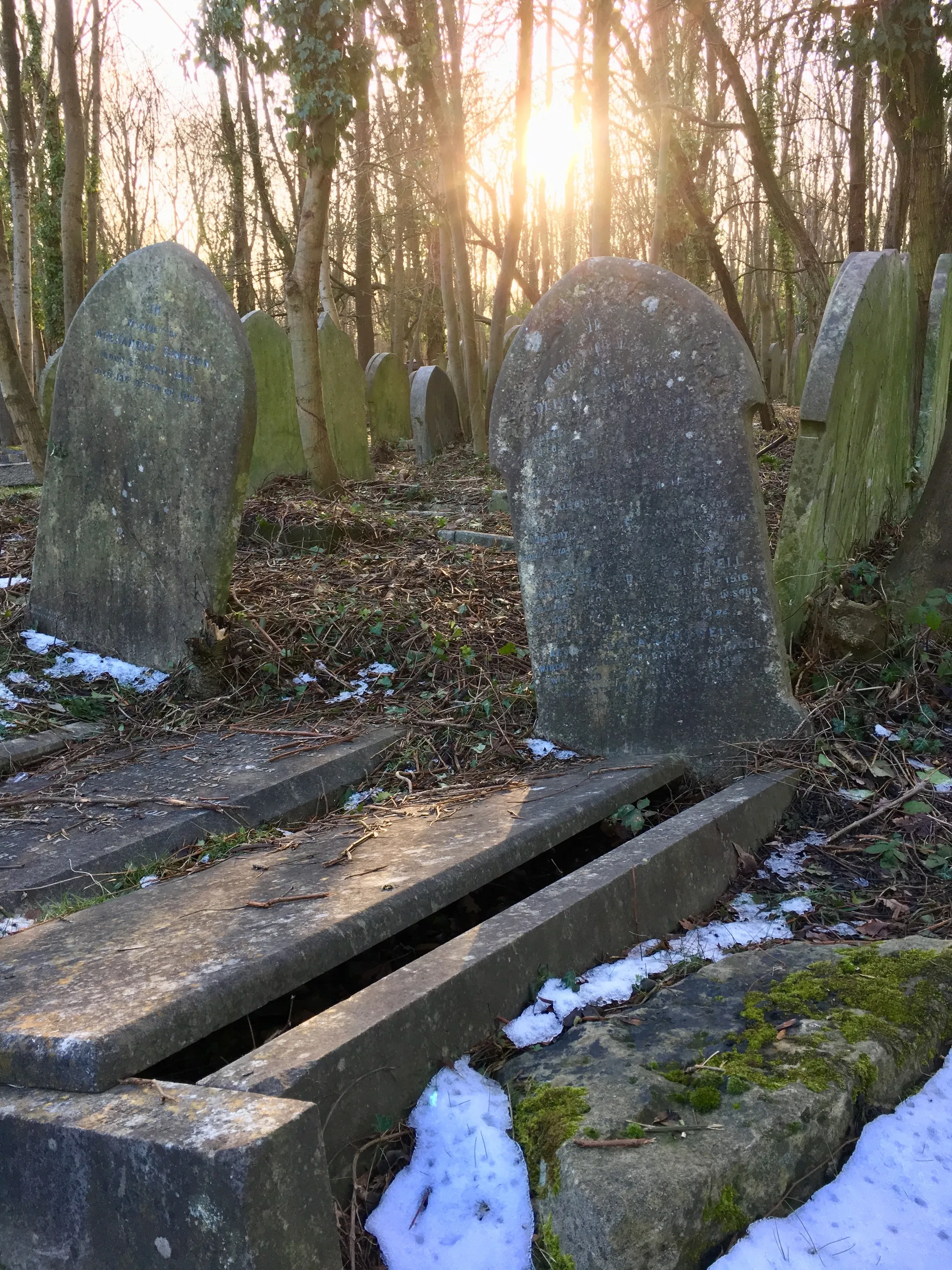 Offenes Grab und Sonne am Highgate cemetry in London